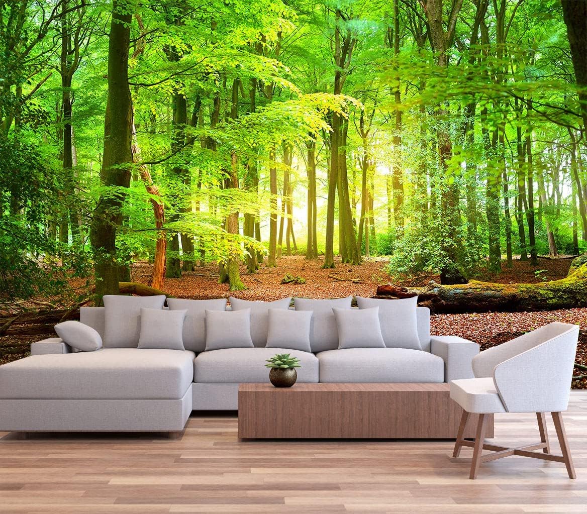 Sunshine Forest Mural Wallpaper Landscape Tree Wallpaper Large Nature Scenery Wall Mural for Living Room (not self-Adhesive)