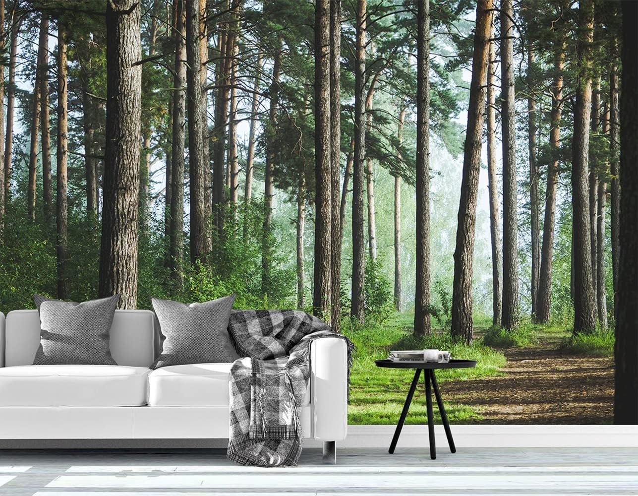 Bormia Road Forest Wall Mural Tree Wallpaper Pictures Large Bedroom Mural 151"x105"