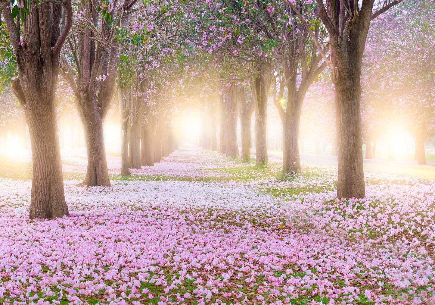 Bormia Road Forest Wall Mural Tree Wallpaper Pictures Large Bedroom Mural 151"x105"